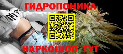 скорость Кинель