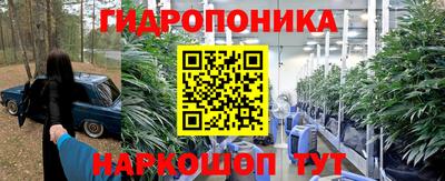тгк Кимры