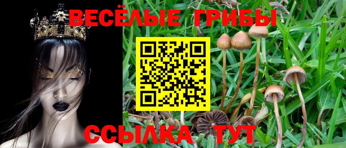 Краснокаменск  Галлюциногенные грибы Psilocybe  Вход с VPN  Галлюциногенные грибы GOLDEN TEACHER 