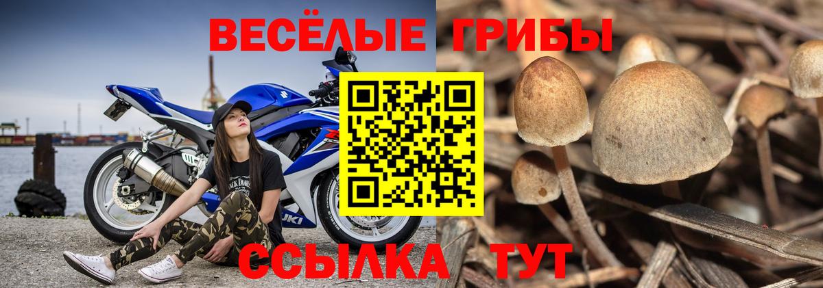 Псилоцибиновые грибы ЛСД Краснокаменск